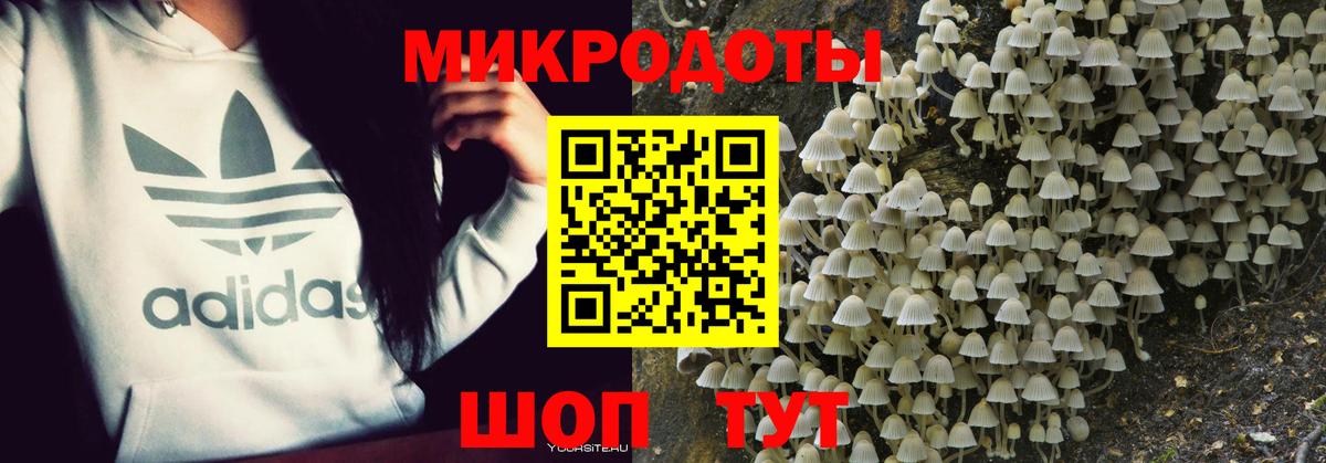 купить   Галлюциногенные грибы ЛСД  Вход с VPN  Янаул 